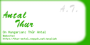 antal thur business card